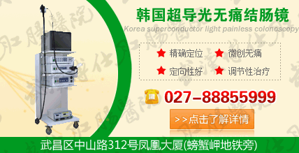 结肠镜
