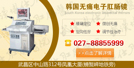 电子肛肠镜检查